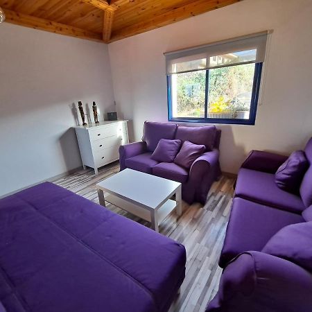 Tenerife Apartment 100M2 Casa De Don Quijote With A Terrace Of 100M2 With A View Of The Ocean And Teide Volcano And A Garden Of 600M2 Икод-де-лос-Винос Экстерьер фото
