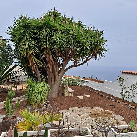 Tenerife Apartment 100M2 Casa De Don Quijote With A Terrace Of 100M2 With A View Of The Ocean And Teide Volcano And A Garden Of 600M2 Икод-де-лос-Винос Экстерьер фото