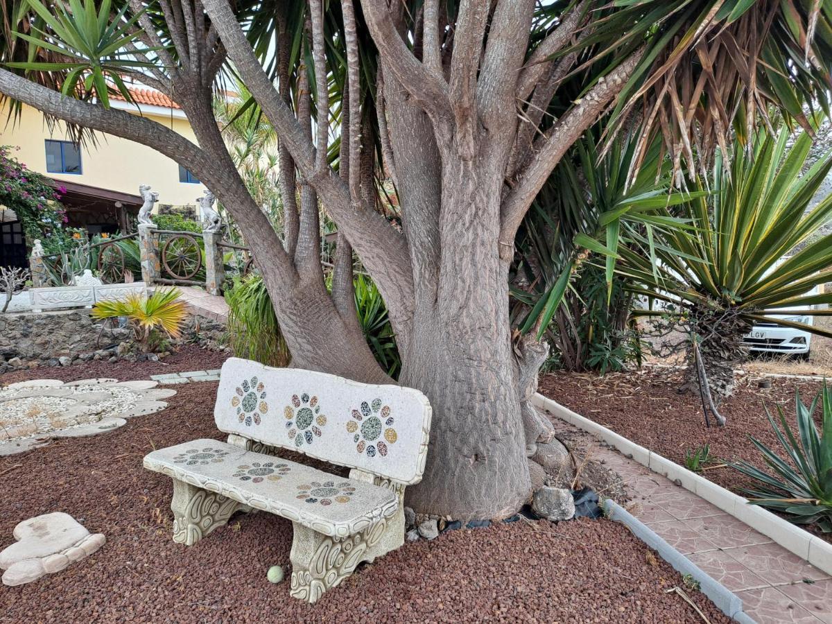 Tenerife Apartment 100M2 Casa De Don Quijote With A Terrace Of 100M2 With A View Of The Ocean And Teide Volcano And A Garden Of 600M2 Икод-де-лос-Винос Экстерьер фото