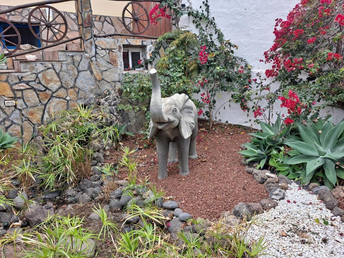 Tenerife Apartment 100M2 Casa De Don Quijote With A Terrace Of 100M2 With A View Of The Ocean And Teide Volcano And A Garden Of 600M2 Икод-де-лос-Винос Экстерьер фото