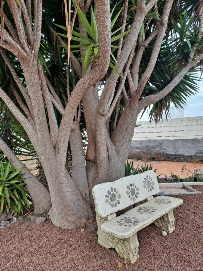 Tenerife Apartment 100M2 Casa De Don Quijote With A Terrace Of 100M2 With A View Of The Ocean And Teide Volcano And A Garden Of 600M2 Икод-де-лос-Винос Экстерьер фото